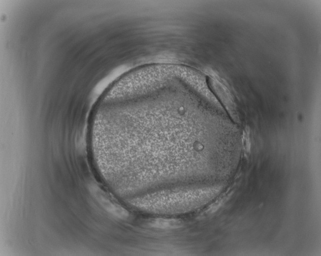 X0000085310292200703231931