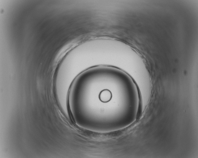 X0000085310293200703231931