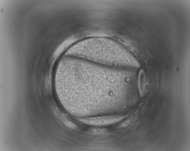 X0000085310296200703231931