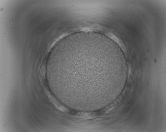 X0000085310297200703231931