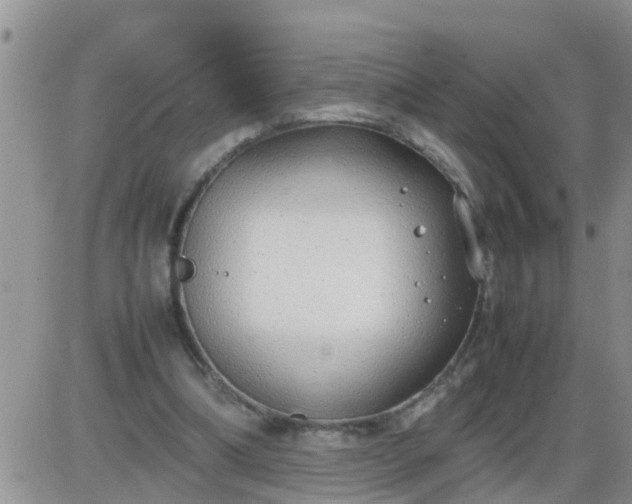 X0000085310298200703231931