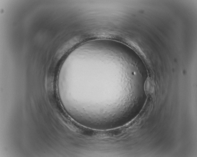 X0000085310299200703231931