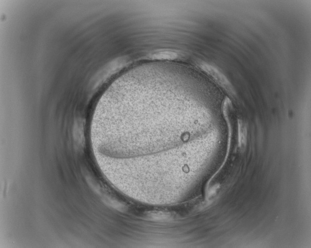 X0000085310300200703231931