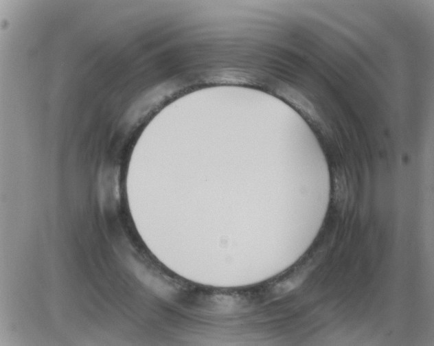 X0000085310302200703231930