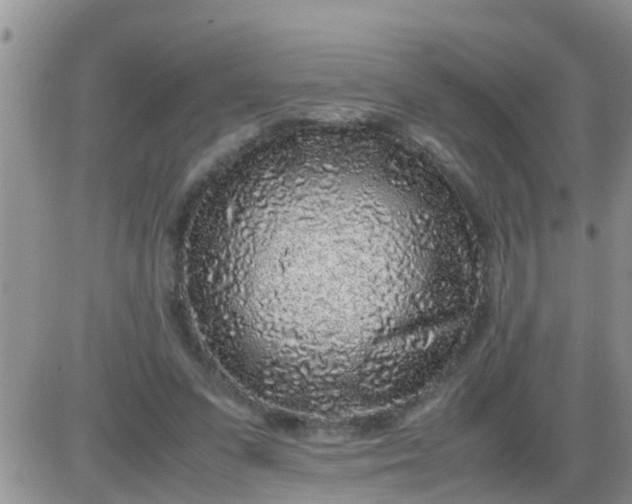 X0000085310303200703231930