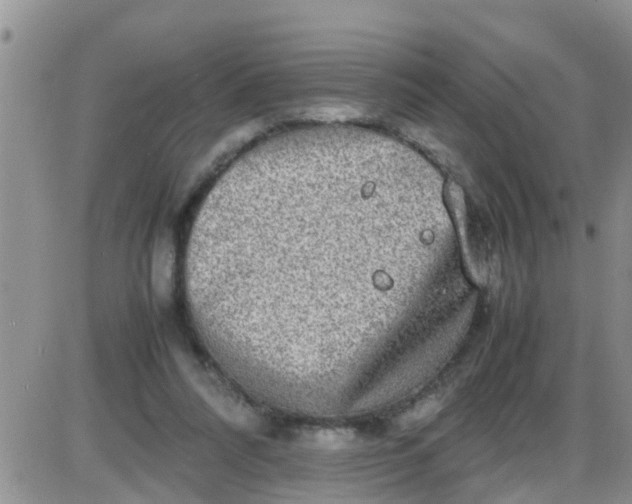 X0000085310304200703231930