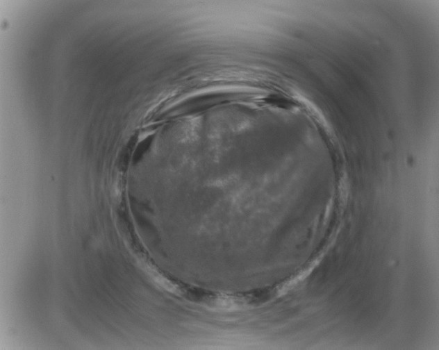 X0000085310305200703231930