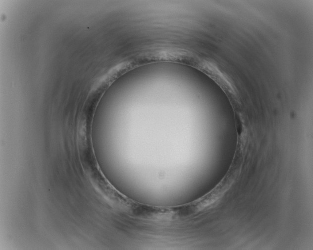 X0000085310306200703231930