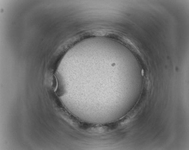 X0000085310307200703231930