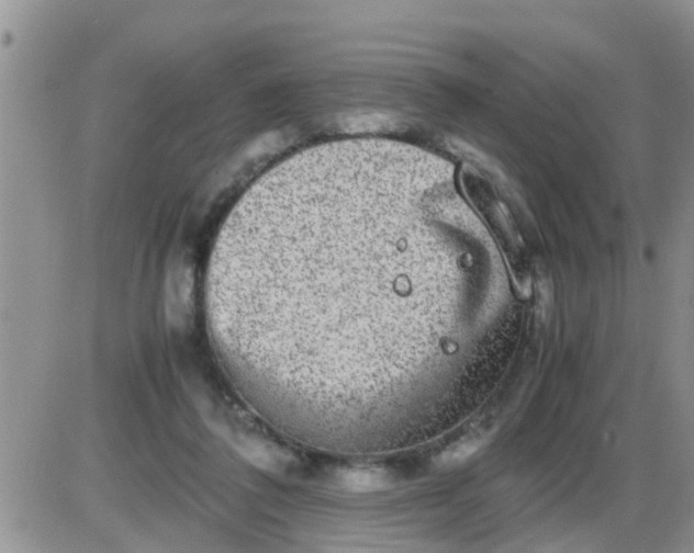 X0000085310308200703231930