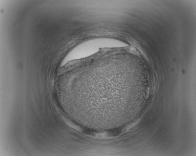 X0000085310309200703231930