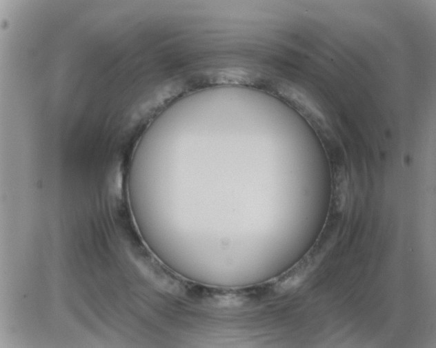 X0000085310310200703231930