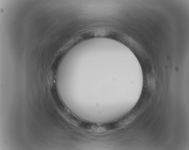 X0000085310311200703231930