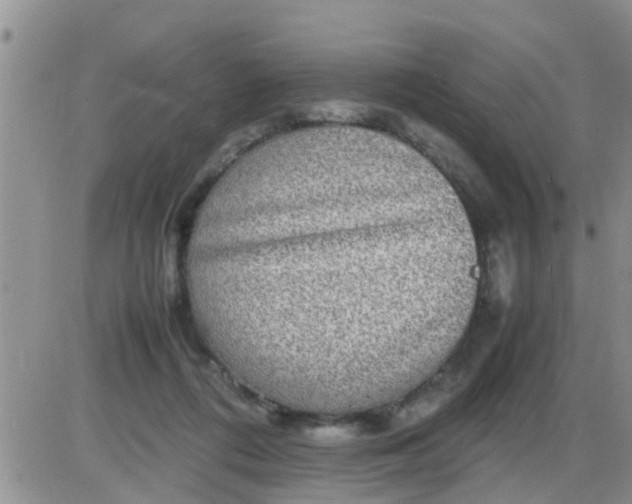 X0000085310312200703231930