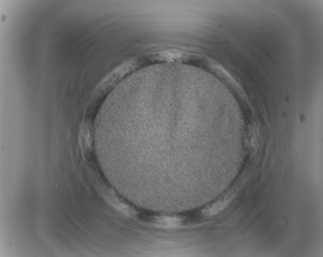 X0000085310313200703231930