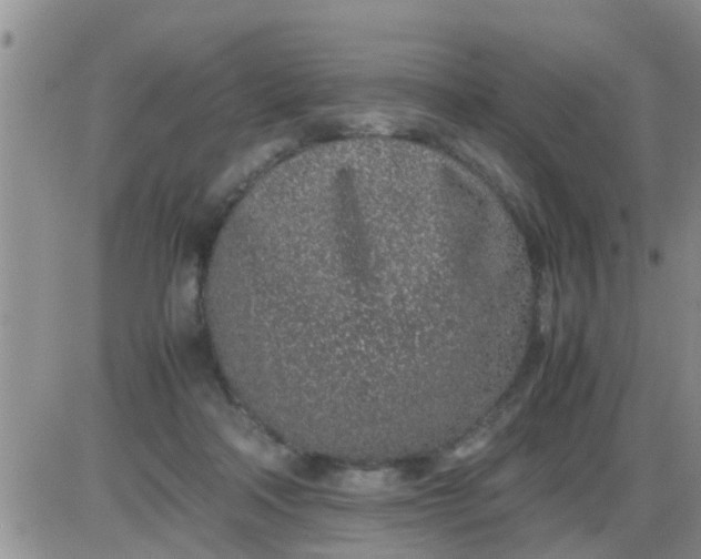 X0000085310314200703231930