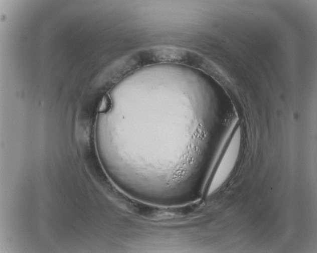 X0000085310315200703231930