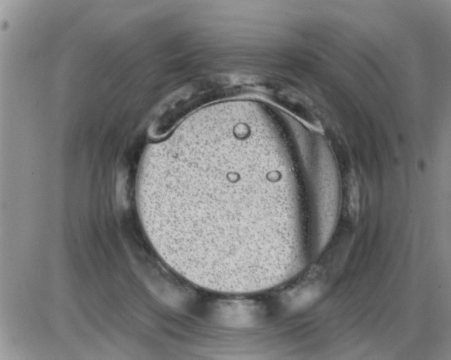 X0000085310316200703231930