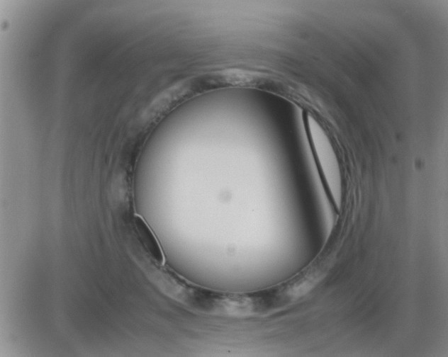 X0000085310317200703231930