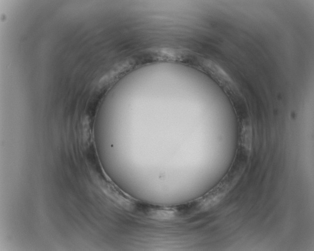 X0000085310318200703231930