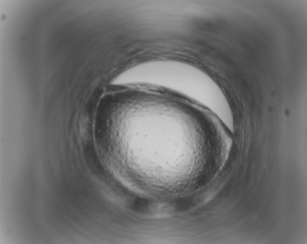 X0000085310319200703231930