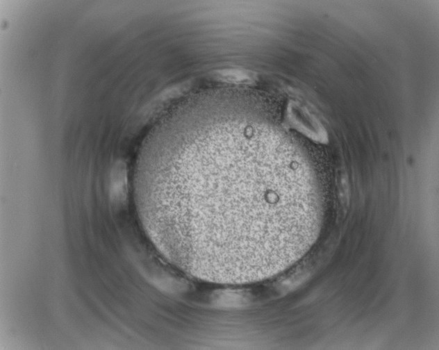 X0000085310320200703231930