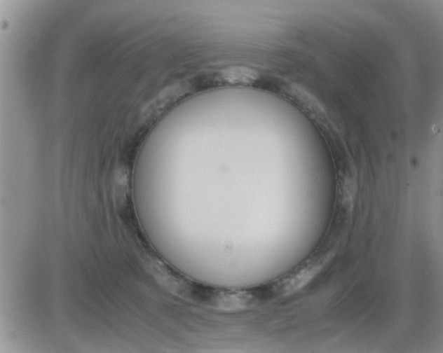 X0000085310321200703231930