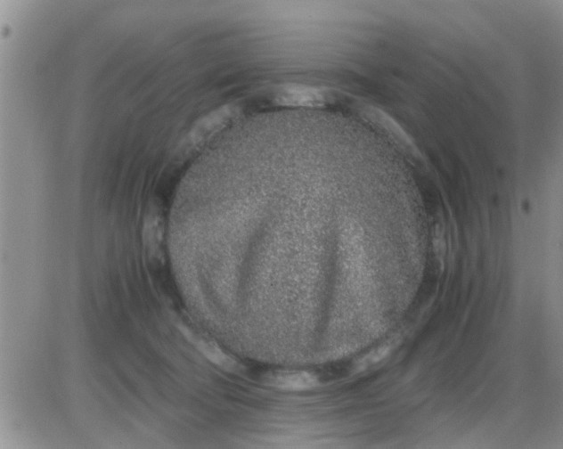 X0000085310322200703231930