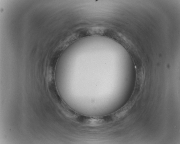 X0000085310323200703231930