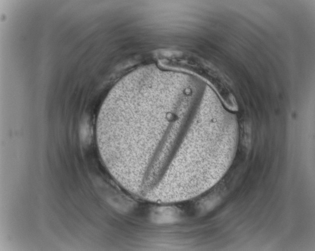 X0000085310324200703231930