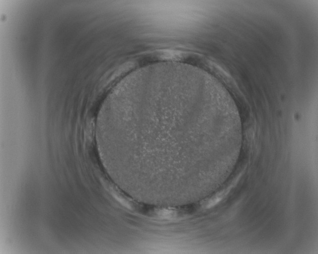 X0000085310325200703231930