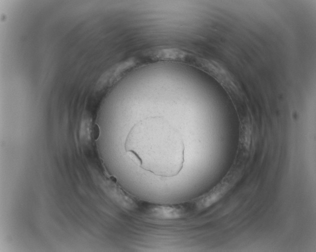 X0000085310326200703231930