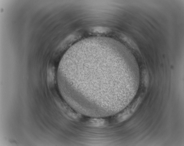 X0000085310328200703231930