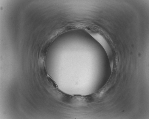 X0000085310329200703231930