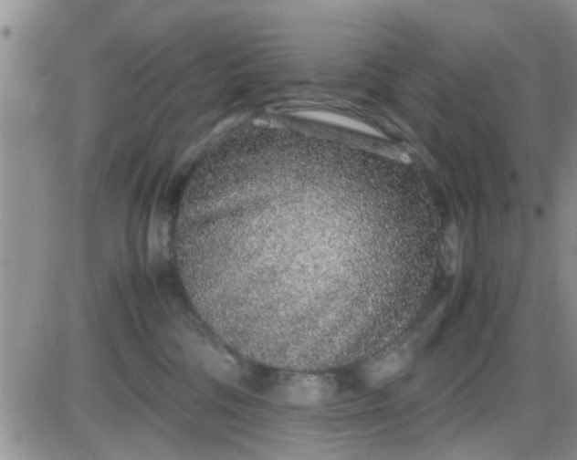 X0000085310330200703231930