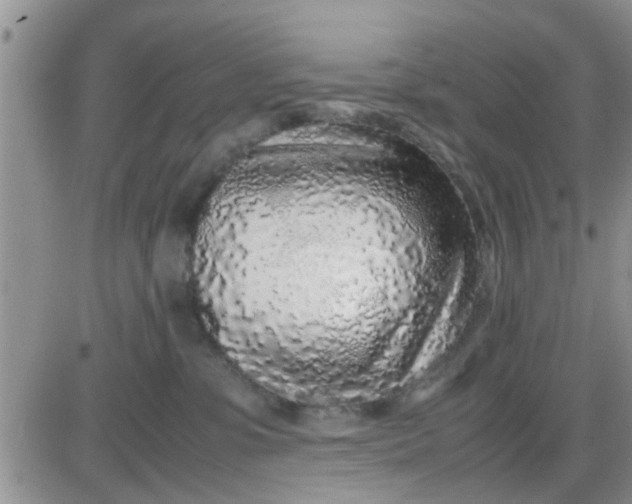 X0000085310331200703231930