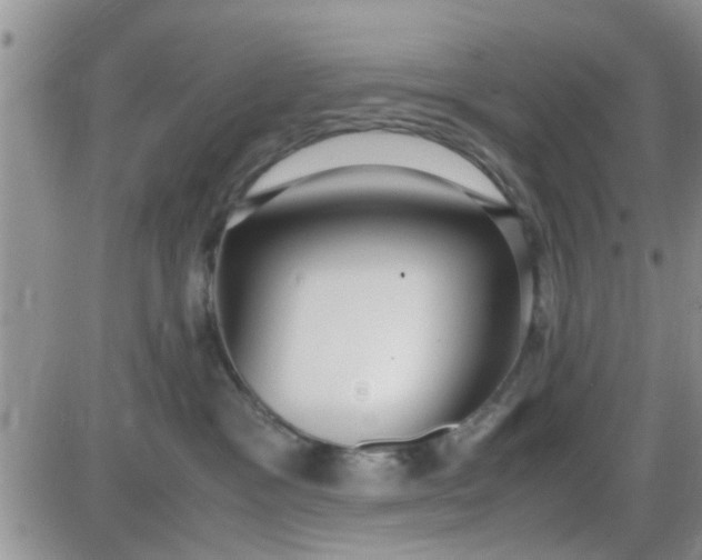 X0000085310333200703231930