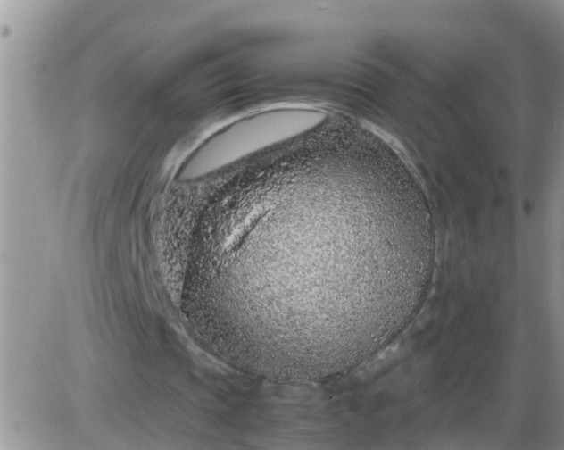 X0000085310337200703231929