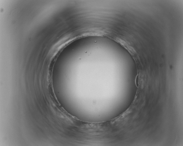 X0000085310338200703231929