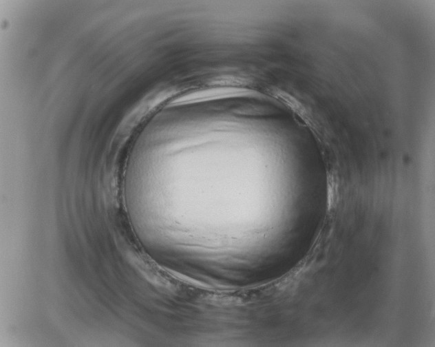 X0000085310339200703231929