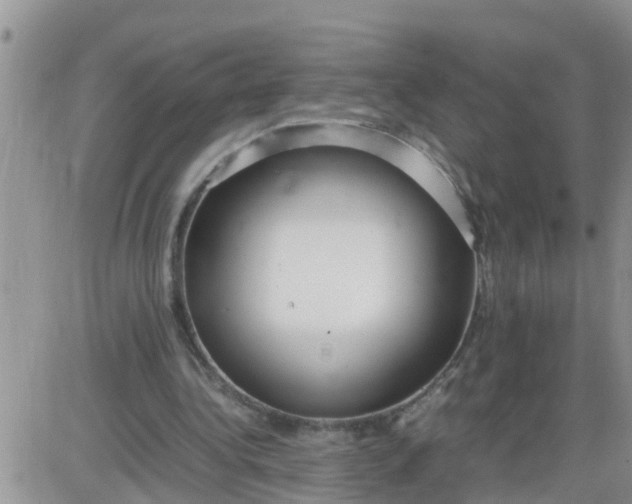 X0000085310340200703231929