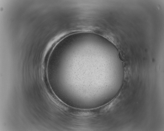 X0000085310342200703231929