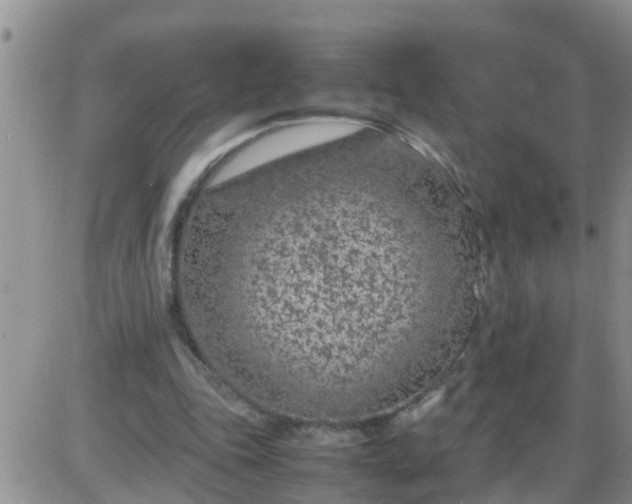 X0000085310343200703231929