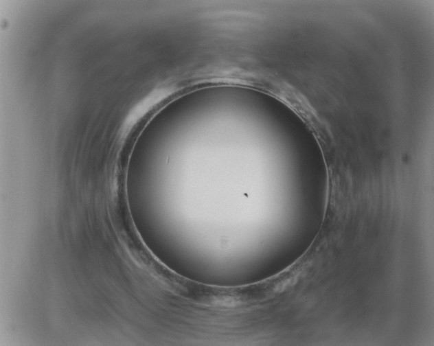 X0000085310344200703231929