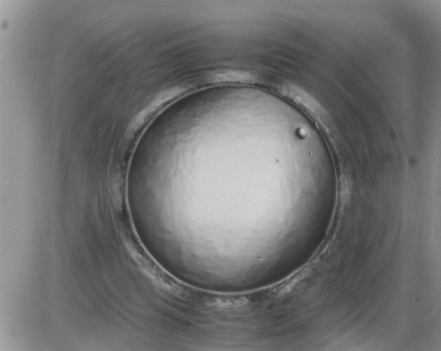 X0000085310345200703231929