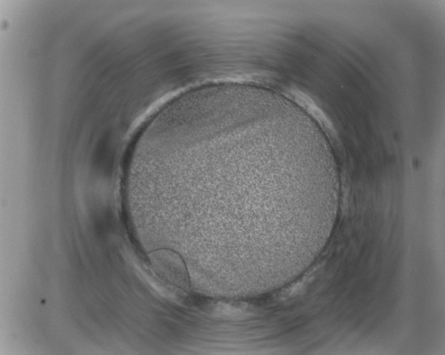 X0000085310346200703231929