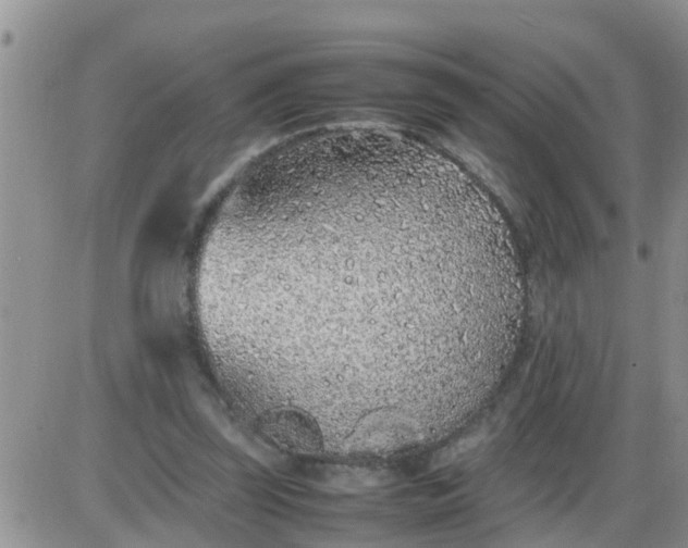 X0000085310347200703231929