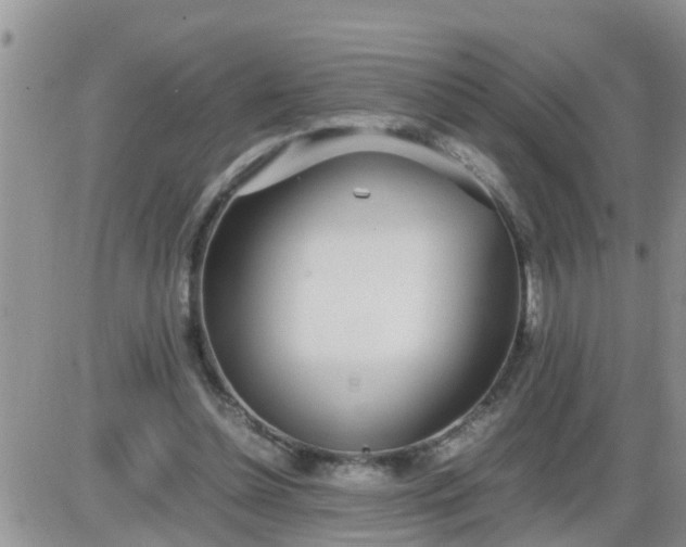 X0000085310348200703231929