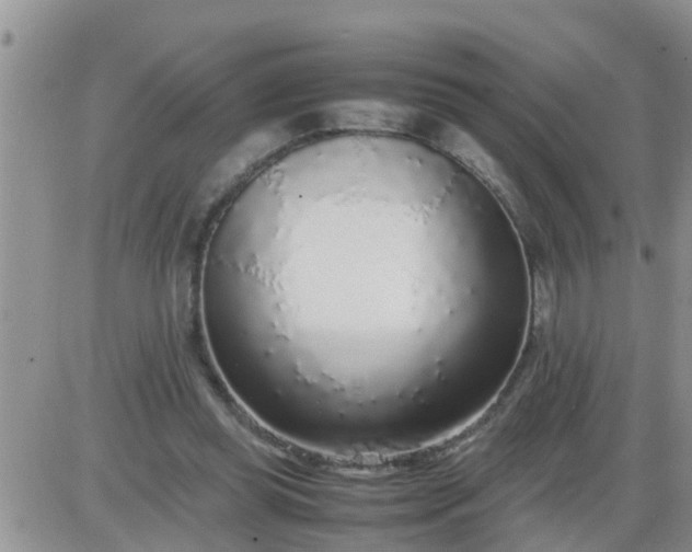 X0000085310349200703231929