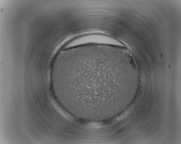 X0000085310350200703231929